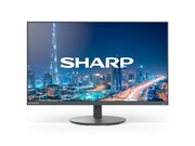 Sharp Monitor MultiSync DD-E224F 22 Czarny Sharp
