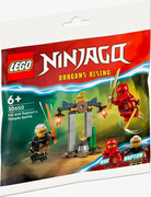 LEGO Klocki Ninjago 30650 Bitwa Kaia i Raptona w świątyni LEGO Producent