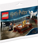 LEGO Harry Potter 30420 - Harry Potter and Hedwig Owl Delivery