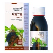 Czaga Koncentrat w Płynie Huba Brzozowa Inonotus obliquus 100 ml Golden Pharm