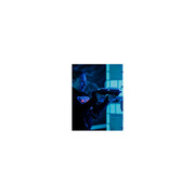 Gra w laserowy paintball – Sosnowiec