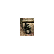 Gra w paintball – Szczecin