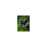 Gra w paintball w Lublinie