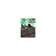Gra w paintball – Brzeg