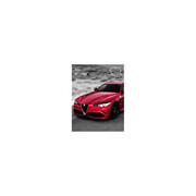 Jazda za kierownicą Alfa Romeo Giulia Quadrifoglio – Tor Wrocław-Krzywa