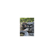 Gra w paintball – Puławy