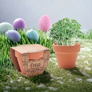 RZEŻUCHA W DONICZCE DO ZASIANIA WIELKANOC Doniczka Torf Nasiona PromoFriends