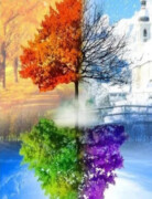 Gaira® Diamentowa mozaika Koło życia D0010 Gaira®