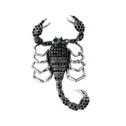 Gaira® Broszka 312941 Skorpion ♏ Gaira®