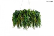 MOOSEE lampa wisząca GARDENS 70 czarna 5900168832077