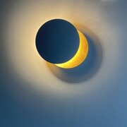 MOOSEE lampa ścienna ECLISE złota / czarna 5900168824577