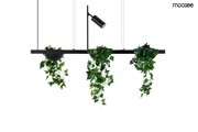 MOOSEE lampa wisząca PLANT LINE czarna 5900168828070