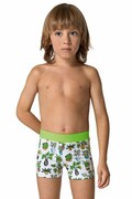 Kąpielówki chłopięce Theo kaktusy 128 Lorin