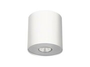 LAMPA SUFITOWA POINT WHITE SILVER WHITE GRAPHITE M 6001 Nowodvorski