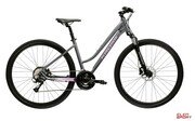 Rower Crossowy Kross Evado 4.0 Damski Szary/Różowy Połysk Kross