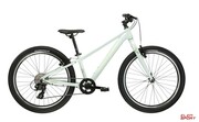 Rower Dziecięcy MTB Kross Lea Jr 1.0 Szary/Zielony Połysk Kross