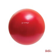 Piłka Gimnastyczna Hms Yb01 (Pg 65cm) Czerwona Hms