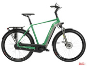 Rower Elektryczny Trekkingowy Kross Sentio Hybrid 6.0 500 Zielony Szary Kross