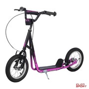 Hulajnoga Nils Extreme Wh117Bn 12