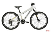 Rower Dziecięcy MTB Kross Dust Jr 1.0 Szary/Czarny Połysk Kross