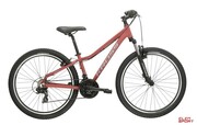 Rower MTB Kross Lea 1.0 Bordowy/Szary Mat Kross