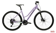 Rower Crossowy Kross Evado 5.0 Damski Fioletowy/Zielony Połysk Kross