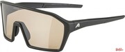 Okulary Alpina Ram Q-Lite V Kolor Black Matt Szkło Silver Mirror Cat.1-3 Alpina