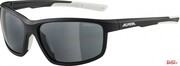 Okulary Rowerowe Alpina Defey Kolor Black-White Matt Szkło Black Cat.3 Alpina