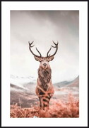 Plakat jeleń w górskiej dolinie Fotobloki & decor
