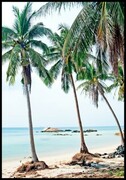 Plakat egzotyczna plaża w Tajlandii De Art s.c.