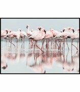 Plakat różowe flamingi w błękitnej wodzie Fotobloki & decor
