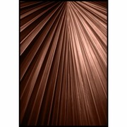 Plakat liść palmowy w kolorze mocha mousse De Art s.c.