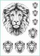 Tatuaże tymczasowe Król zwierząt z grzywą De Art s.c.