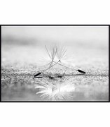 Plakat nasiona dmuchawca De Art s.c.