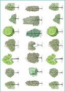 Tatuaże tymczasowe drawing trees De Art s.c.