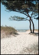 Plakat piaszczysta ścieżka na plażę De Art s.c.