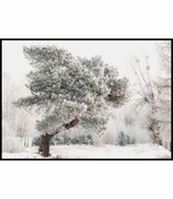 Plakat drzewo pokryte śniegiem De Art s.c.