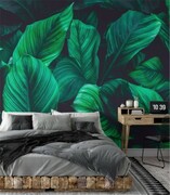 Fototapeta green leaves on dark background De Art s.c.