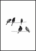 Plakat birds on wire De Art s.c.