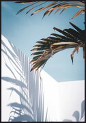 Plakat Liście palmy na tle nieba De Art s.c.