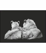 Plakat Rodzina lwów De Art s.c.