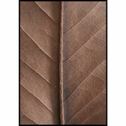 Plakat beżowy suchy liść De Art s.c.