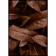 Plakat liść z kroplami wody De Art s.c.