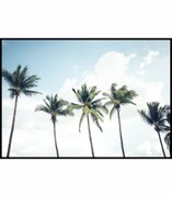 Plakat palmy kokosowe De Art s.c.