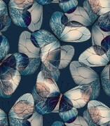 Próbka tapety niebieskie motyle na granatowym tle Fotobloki & decor