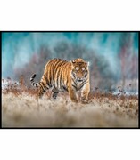 Plakat biegnący tygrys syberyjski De Art s.c.
