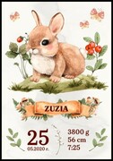 Metryczka zwierzątko leśne zajączek De Art s.c.