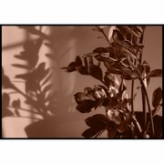 Plakat kwiaty rzucające cień De Art s.c.