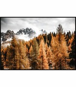 Plakat las w południowym Tyrolu De Art s.c.