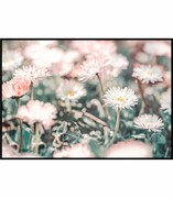 Plakat stokrotki w słońcu De Art s.c.